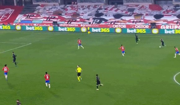 1612395561761060580.gif
